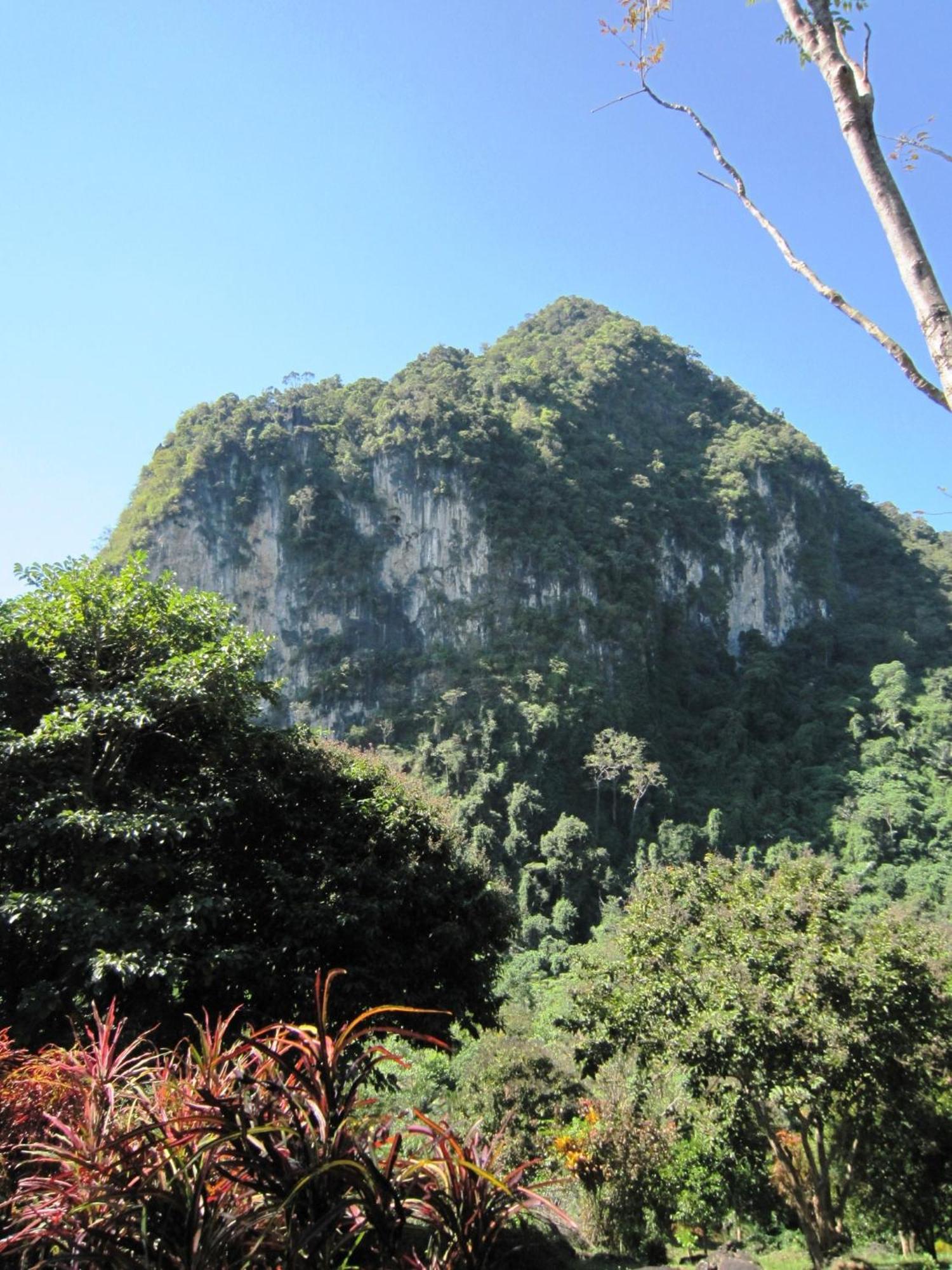 Phanom Bencha Mountain Resort Krabi town Exterior foto