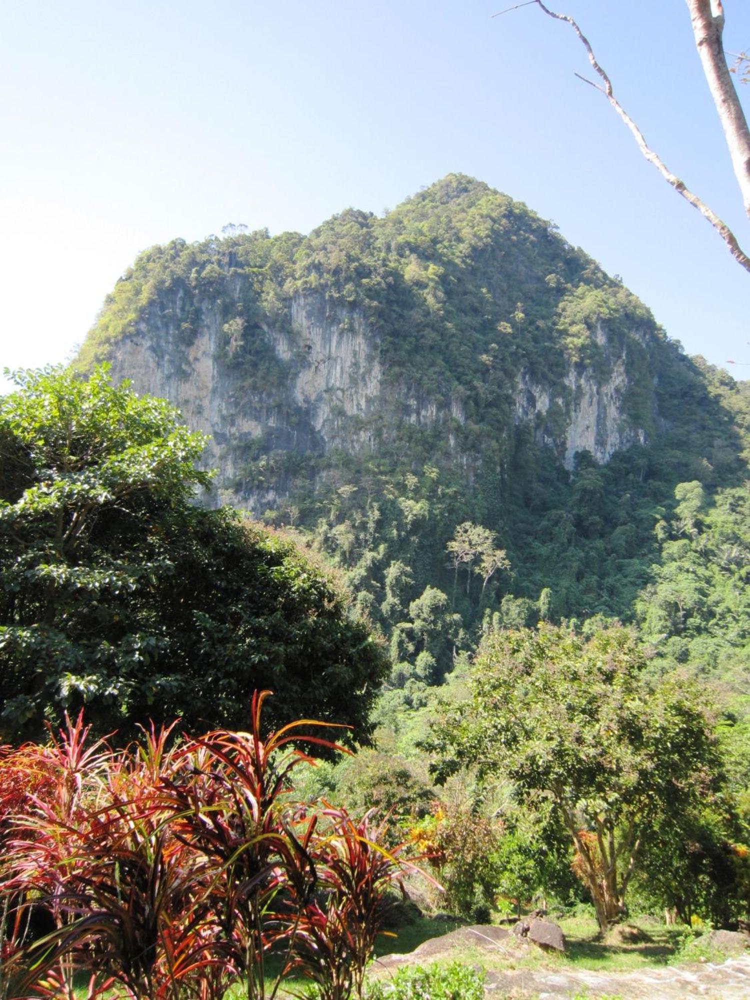 Phanom Bencha Mountain Resort Krabi town Exterior foto