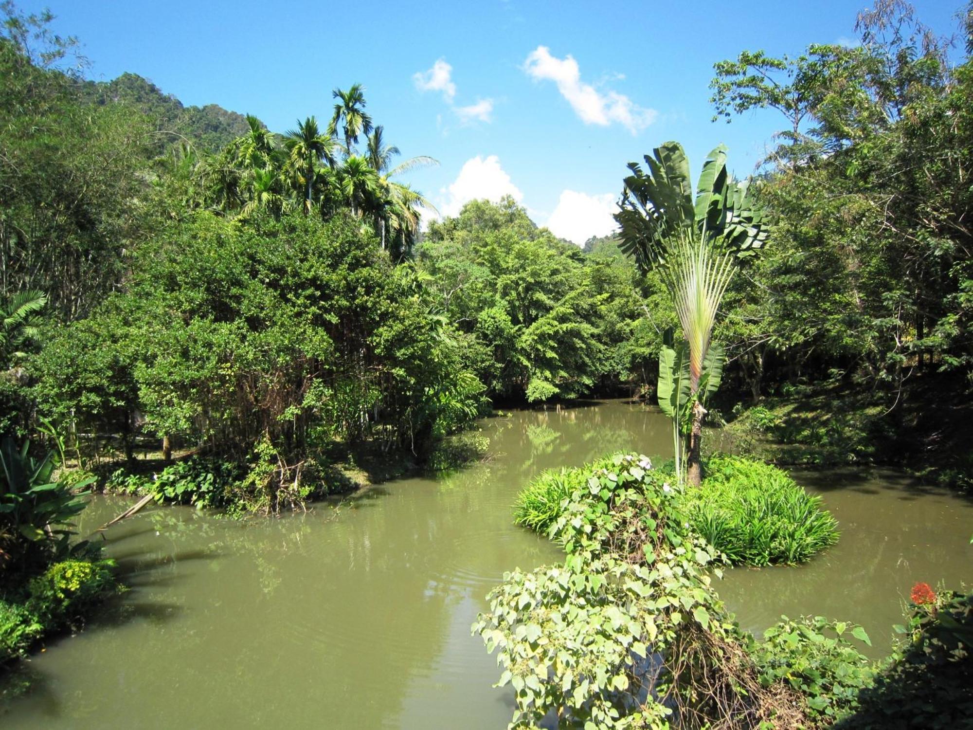 Phanom Bencha Mountain Resort Krabi town Exterior foto