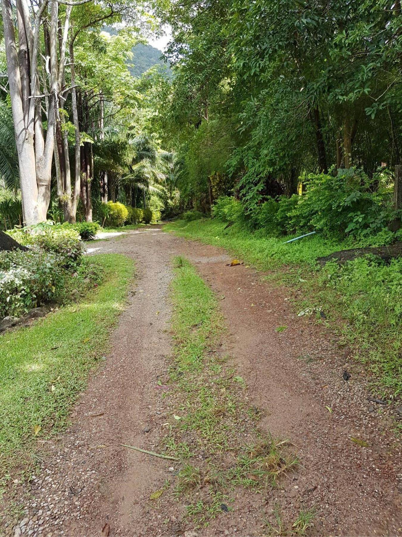 Phanom Bencha Mountain Resort Krabi town Exterior foto