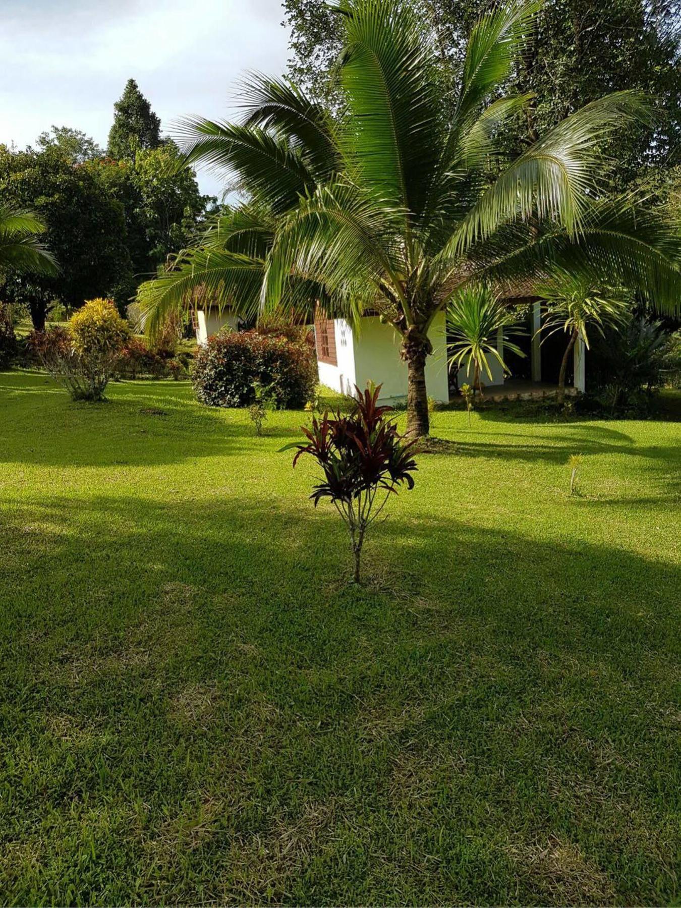 Phanom Bencha Mountain Resort Krabi town Exterior foto